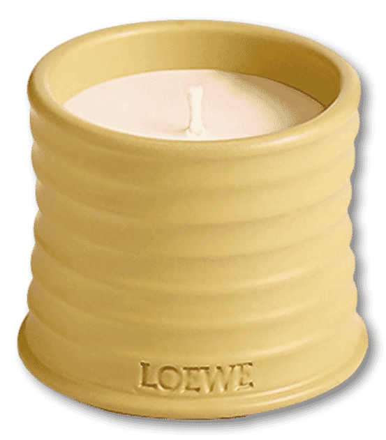 LOEWE Honeysuckle Candle Small 170g