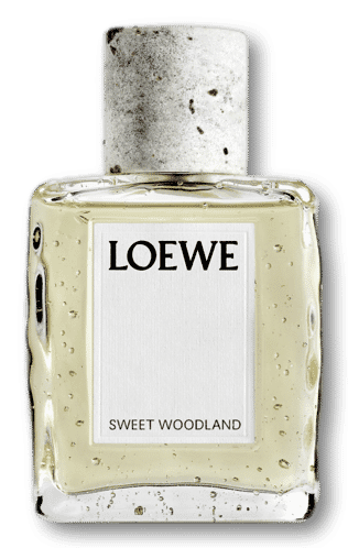 LOEWE Sweet Woodland Eau De Parfum 100ml